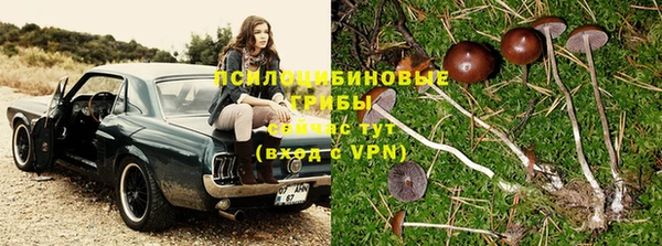 ешки Белокуриха