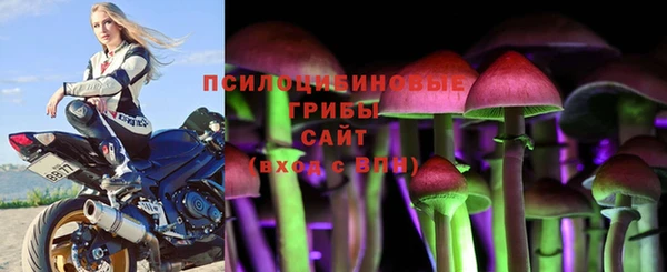 герыч Дмитриев