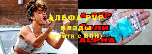 ешки Белокуриха