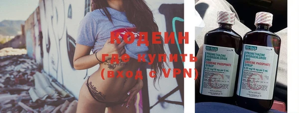индика Белоозёрский