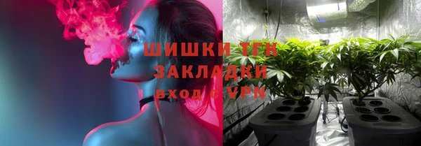 индика Белоозёрский