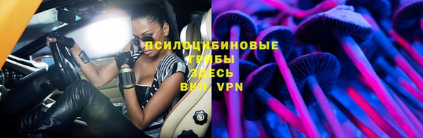 ешки Белокуриха
