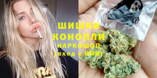 индика Белоозёрский