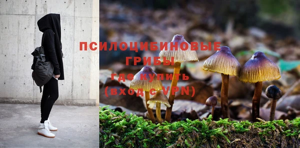 индика Белоозёрский