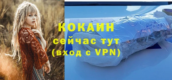 индика Белоозёрский