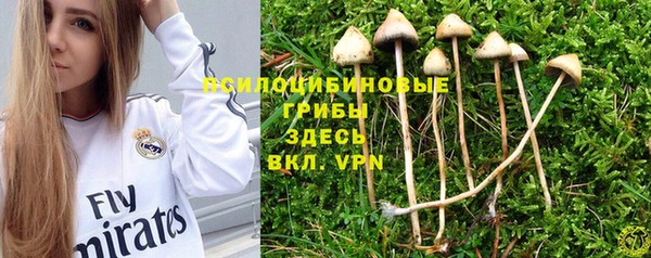 индика Белоозёрский